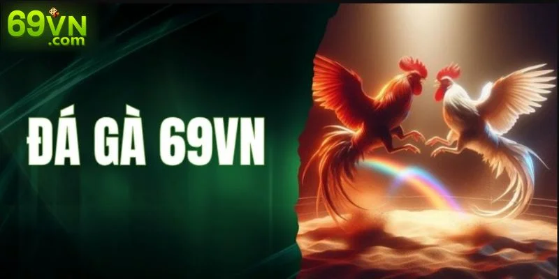 69VN smok ⚡️ Link Vào Nhà Cái 69VN.Com Chính Thức 09/2025 Đá gà là sảnh chơi không thể bỏ qua cho những tín đồ đam mê môn thể thao “chọi kê”.